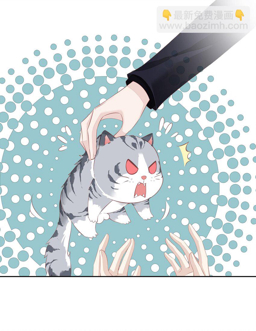 《早期驯服大猫的珍贵资料》013 适应不独居的生活 第38页