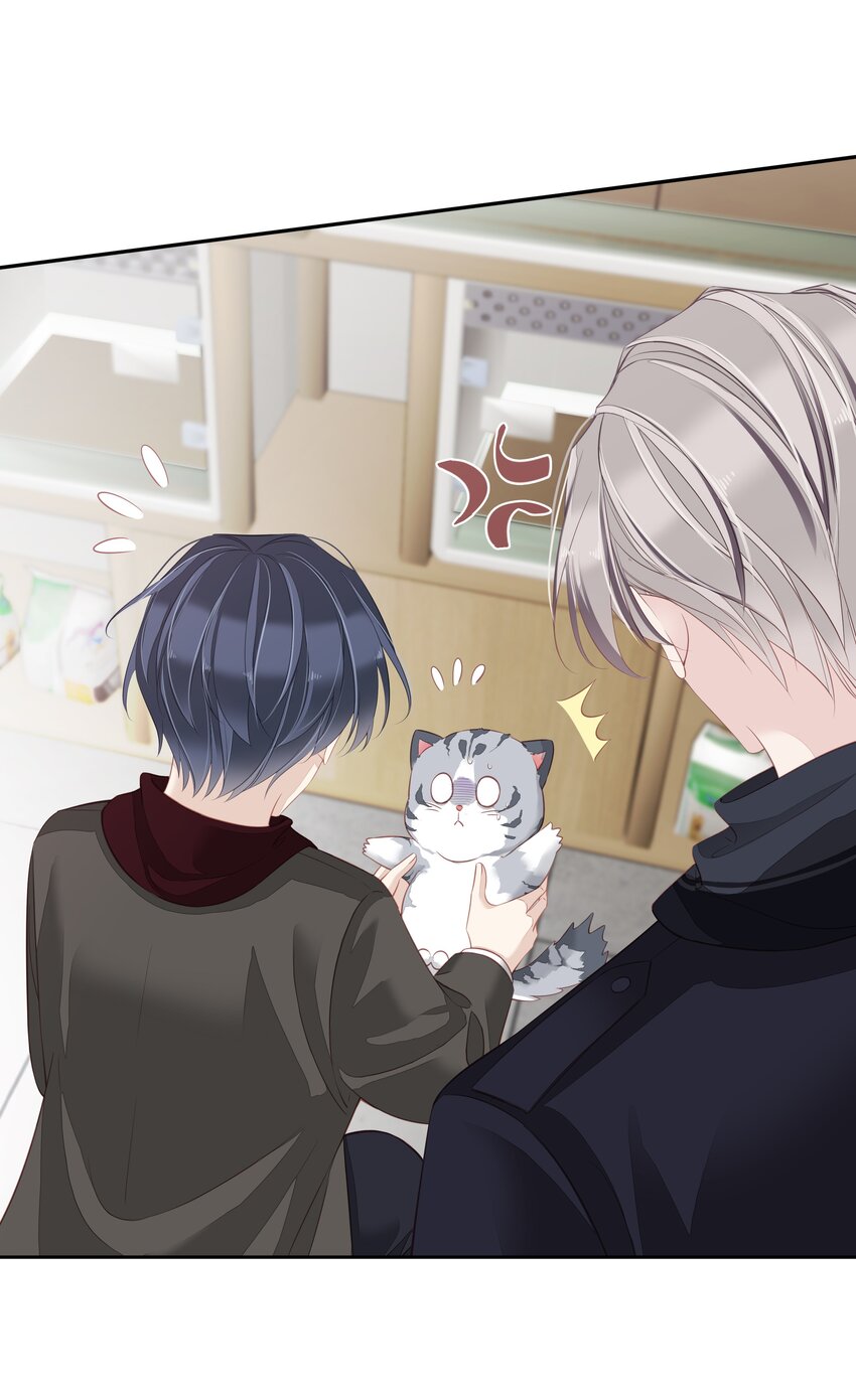 《早期驯服大猫的珍贵资料》013 适应不独居的生活 第40页