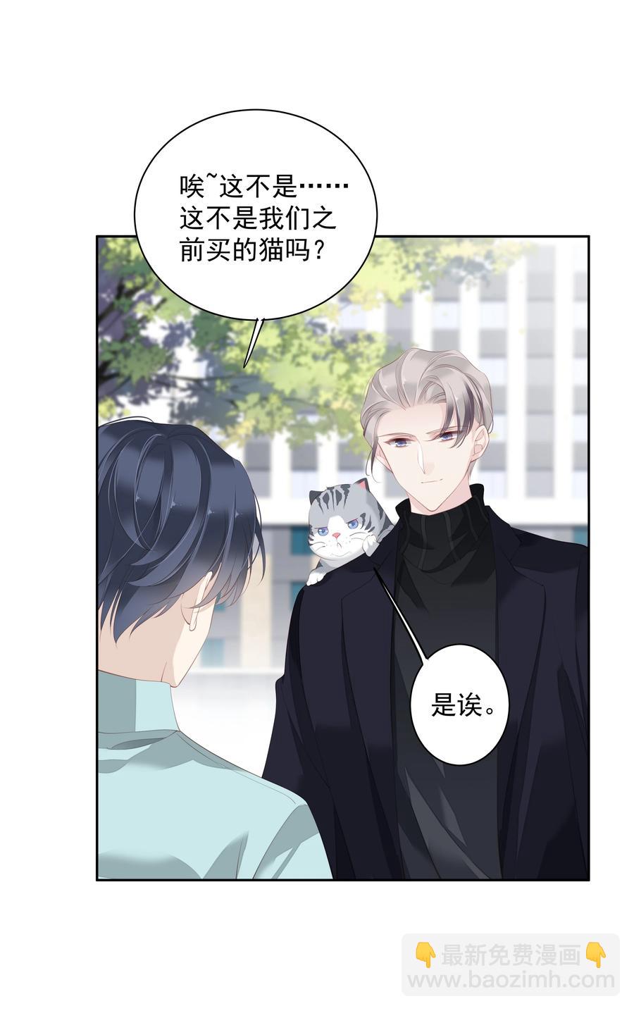 《早期驯服大猫的珍贵资料》022 白玉狸 第22页
