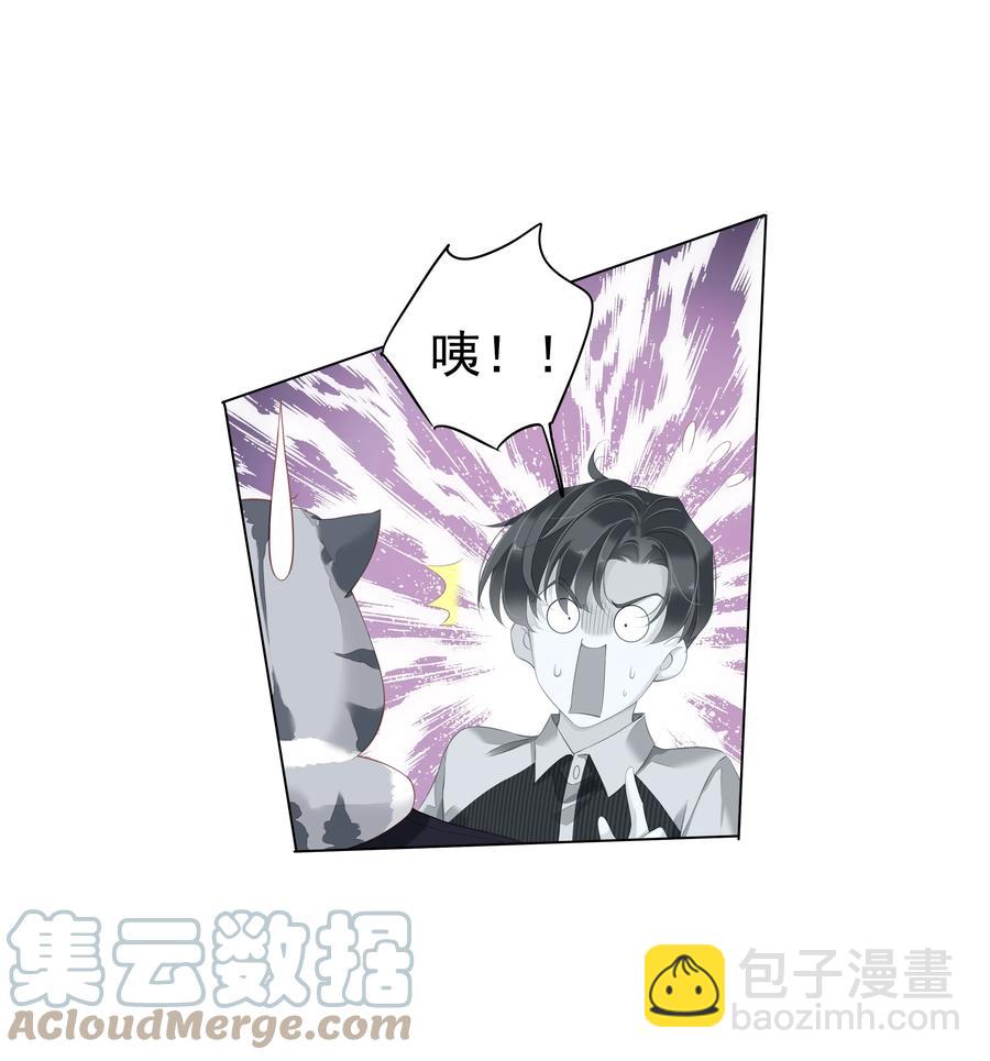 《早期驯服大猫的珍贵资料》022 白玉狸 第23页