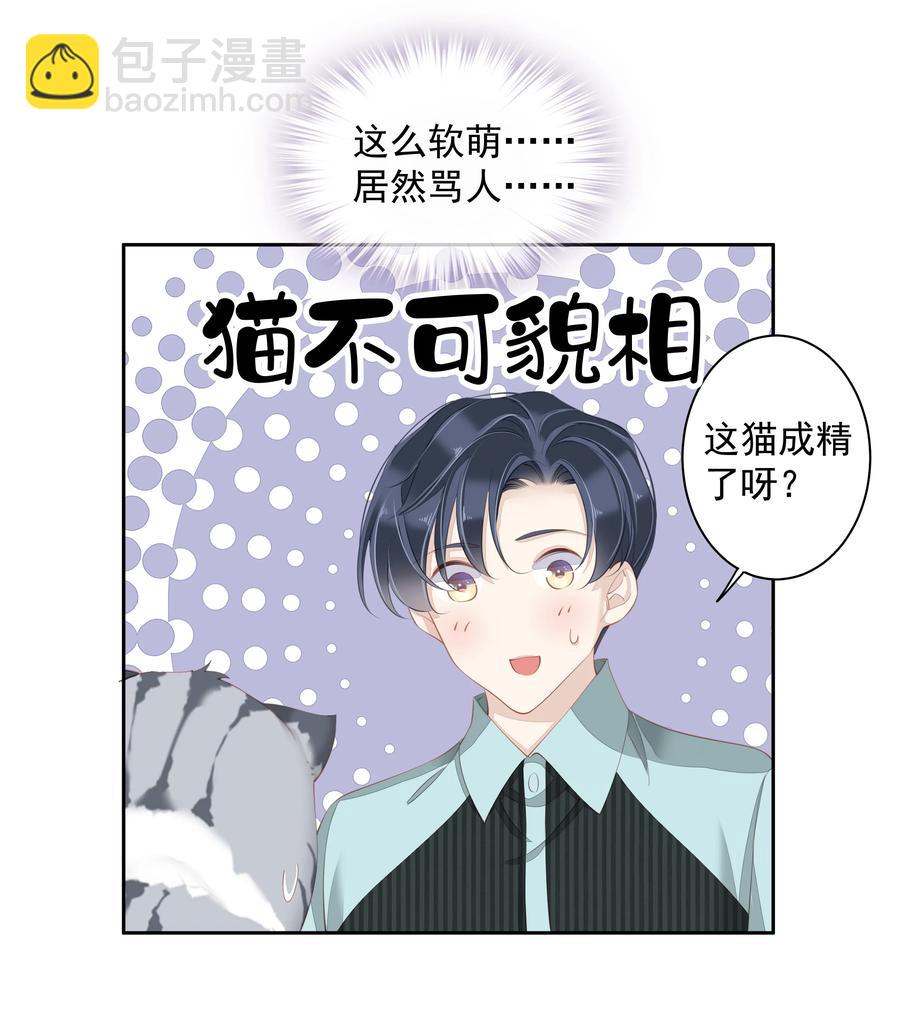 《早期驯服大猫的珍贵资料》022 白玉狸 第26页