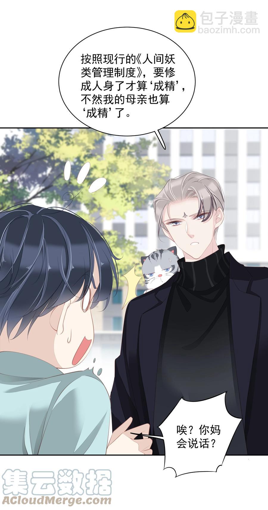 《早期驯服大猫的珍贵资料》022 白玉狸 第27页