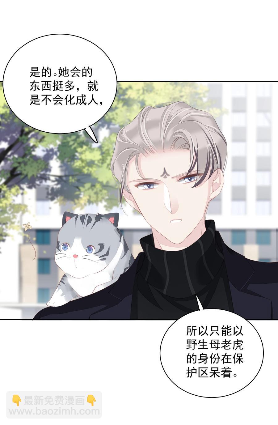 《早期驯服大猫的珍贵资料》022 白玉狸 第28页