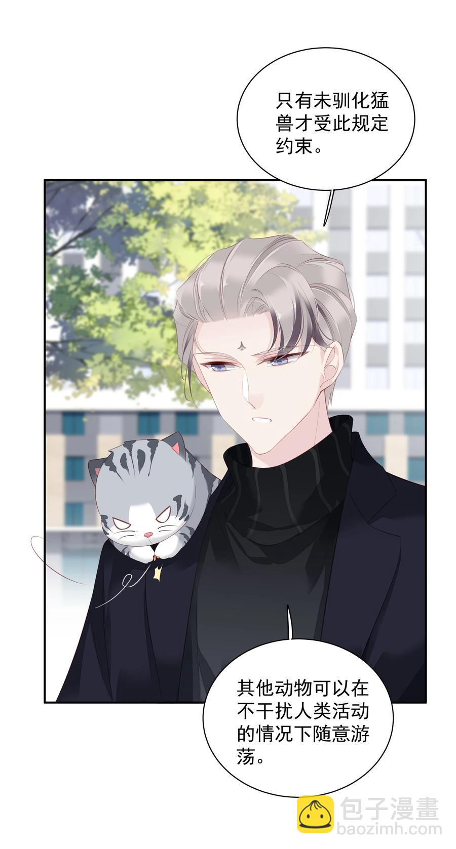 《早期驯服大猫的珍贵资料》022 白玉狸 第30页