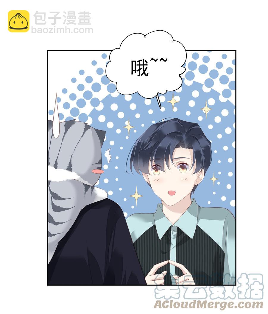 《早期驯服大猫的珍贵资料》022 白玉狸 第31页