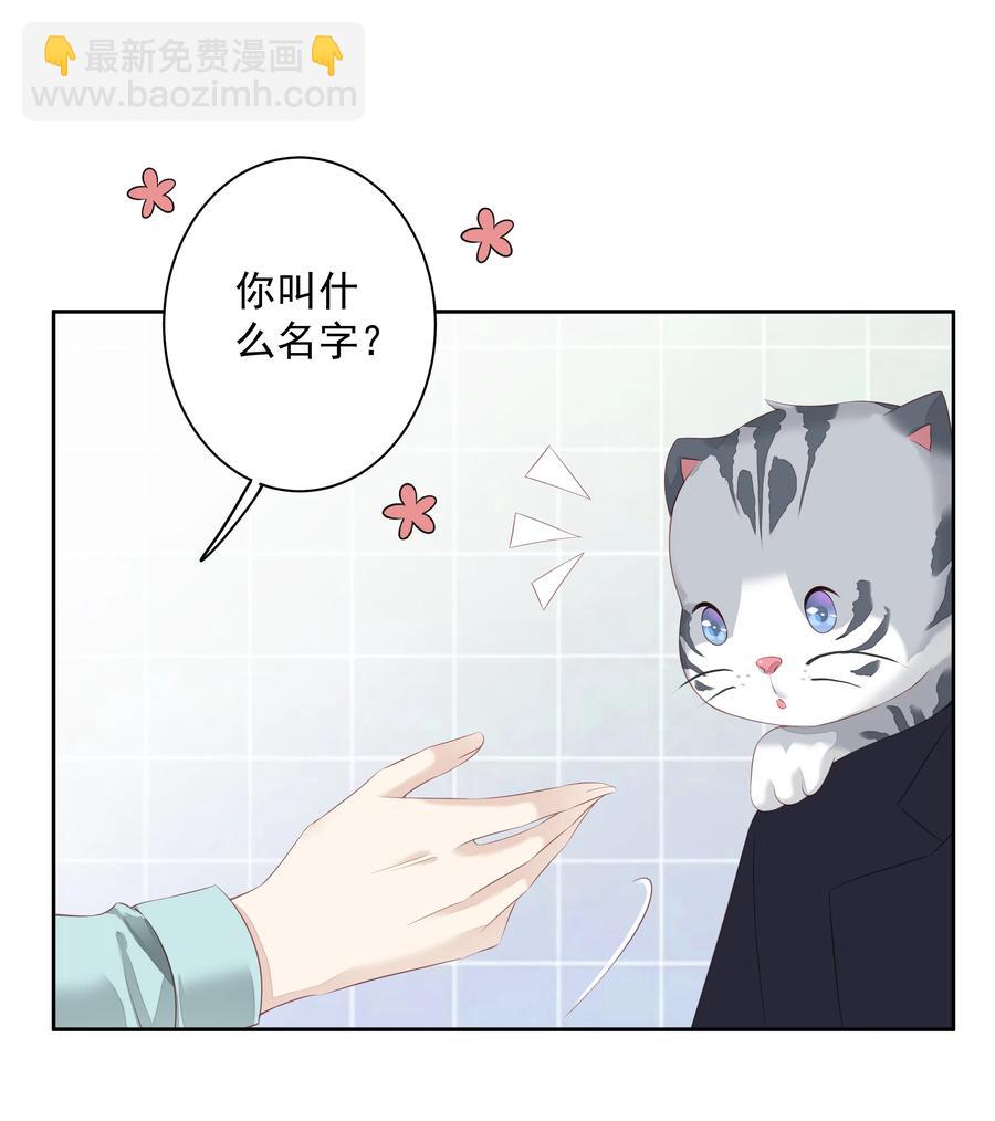 《早期驯服大猫的珍贵资料》022 白玉狸 第32页