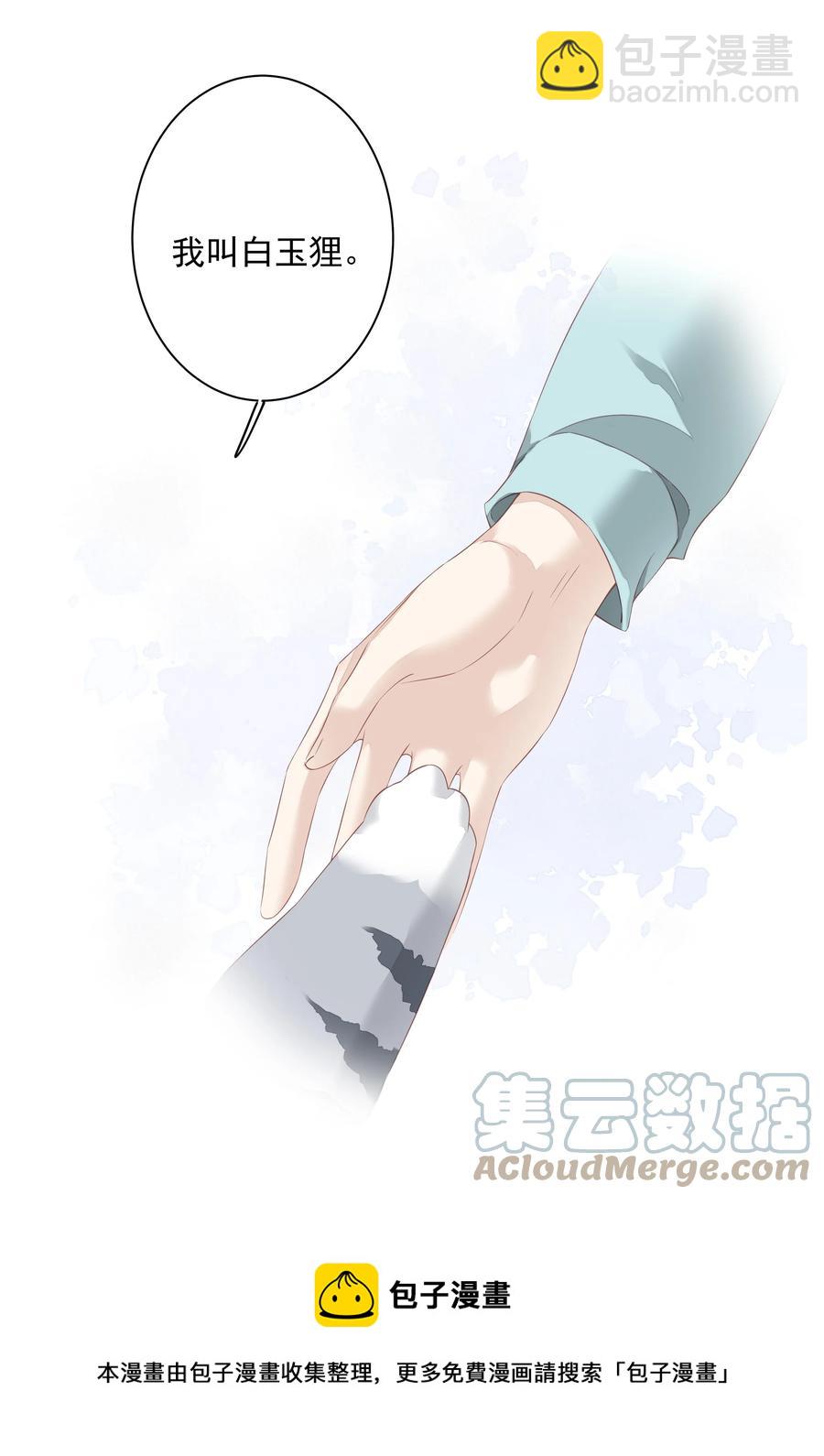 《早期驯服大猫的珍贵资料》022 白玉狸 第33页