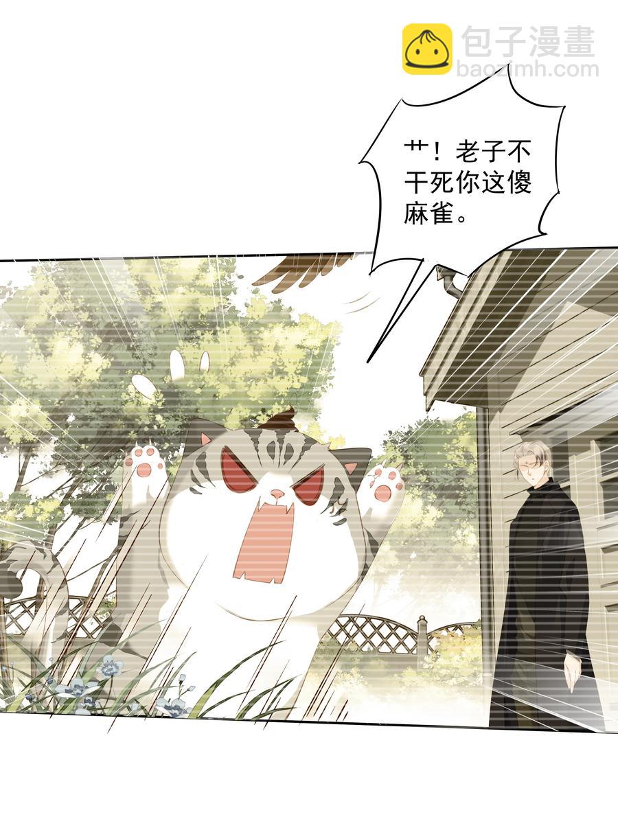 《早期驯服大猫的珍贵资料》022 白玉狸 第36页