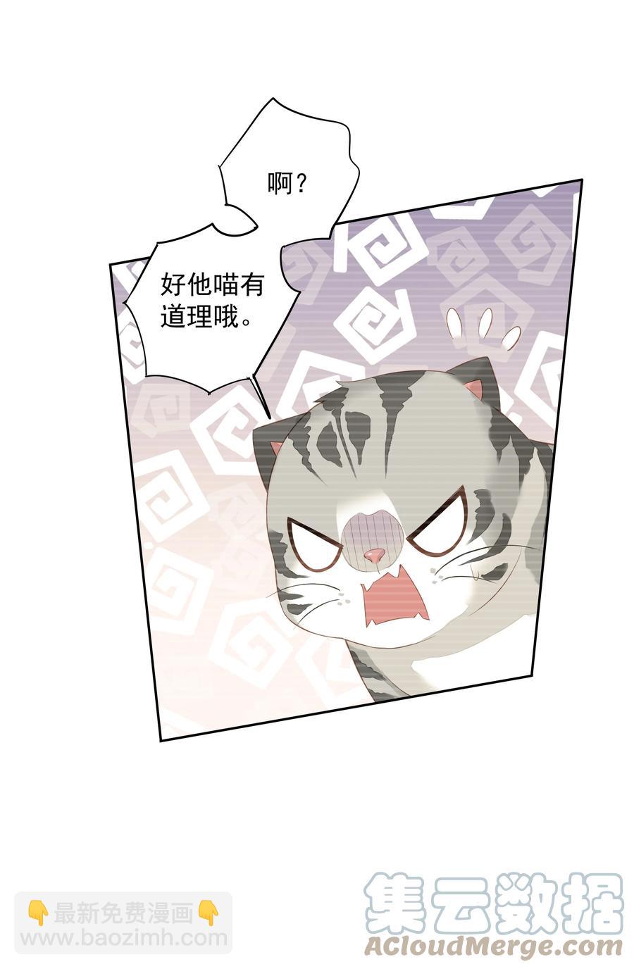 《早期驯服大猫的珍贵资料》022 白玉狸 第39页