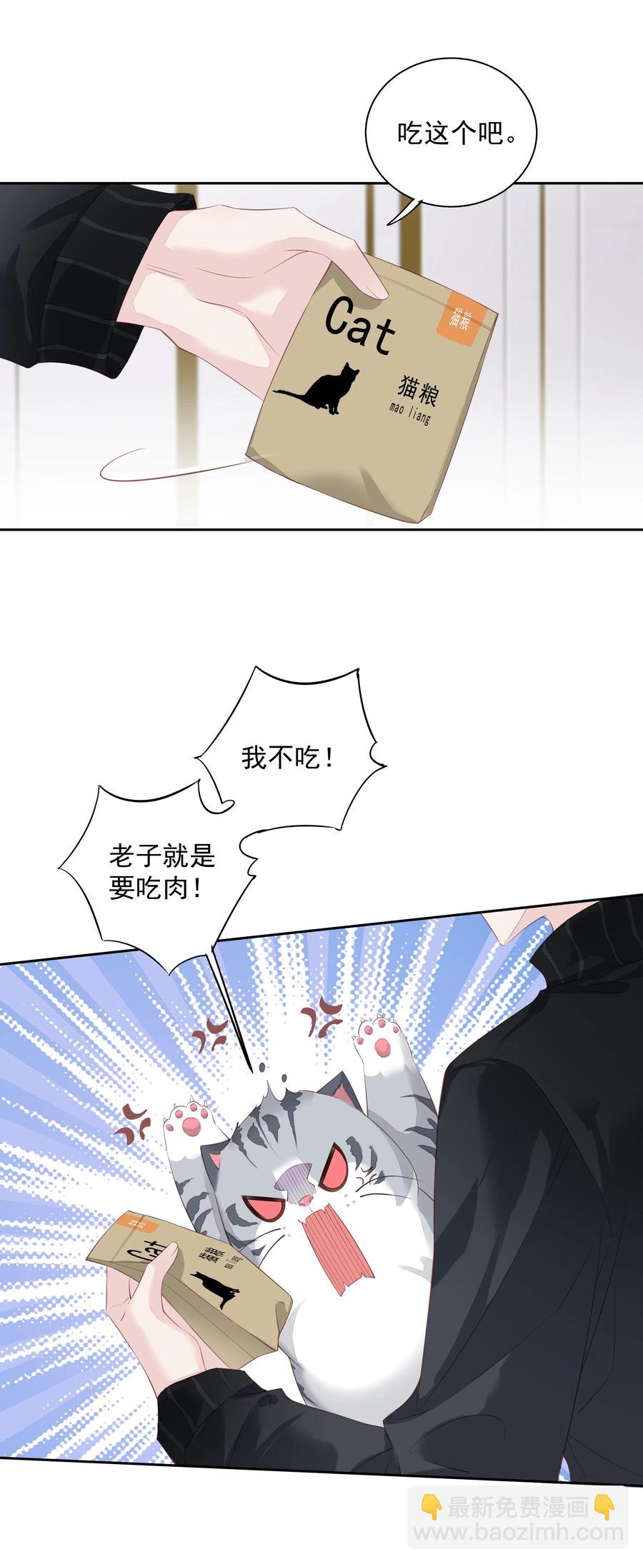 《早期驯服大猫的珍贵资料》023 对方带多少人？揣家伙不？ 第10页