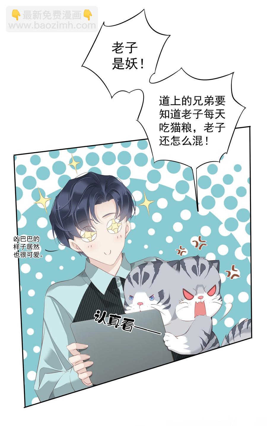 《早期驯服大猫的珍贵资料》023 对方带多少人？揣家伙不？ 第12页