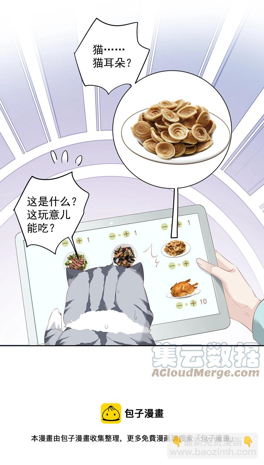 《早期驯服大猫的珍贵资料》023 对方带多少人？揣家伙不？ 第13页