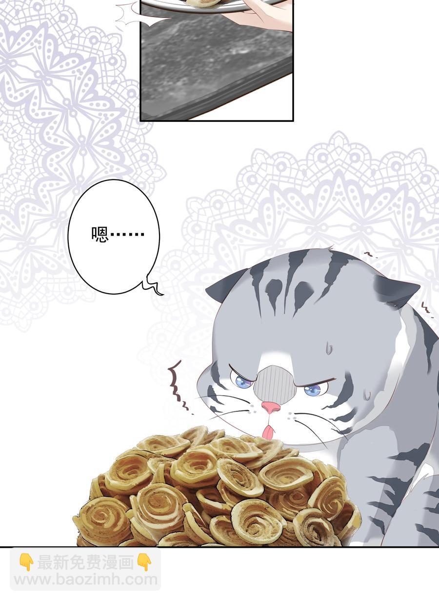 《早期驯服大猫的珍贵资料》023 对方带多少人？揣家伙不？ 第16页