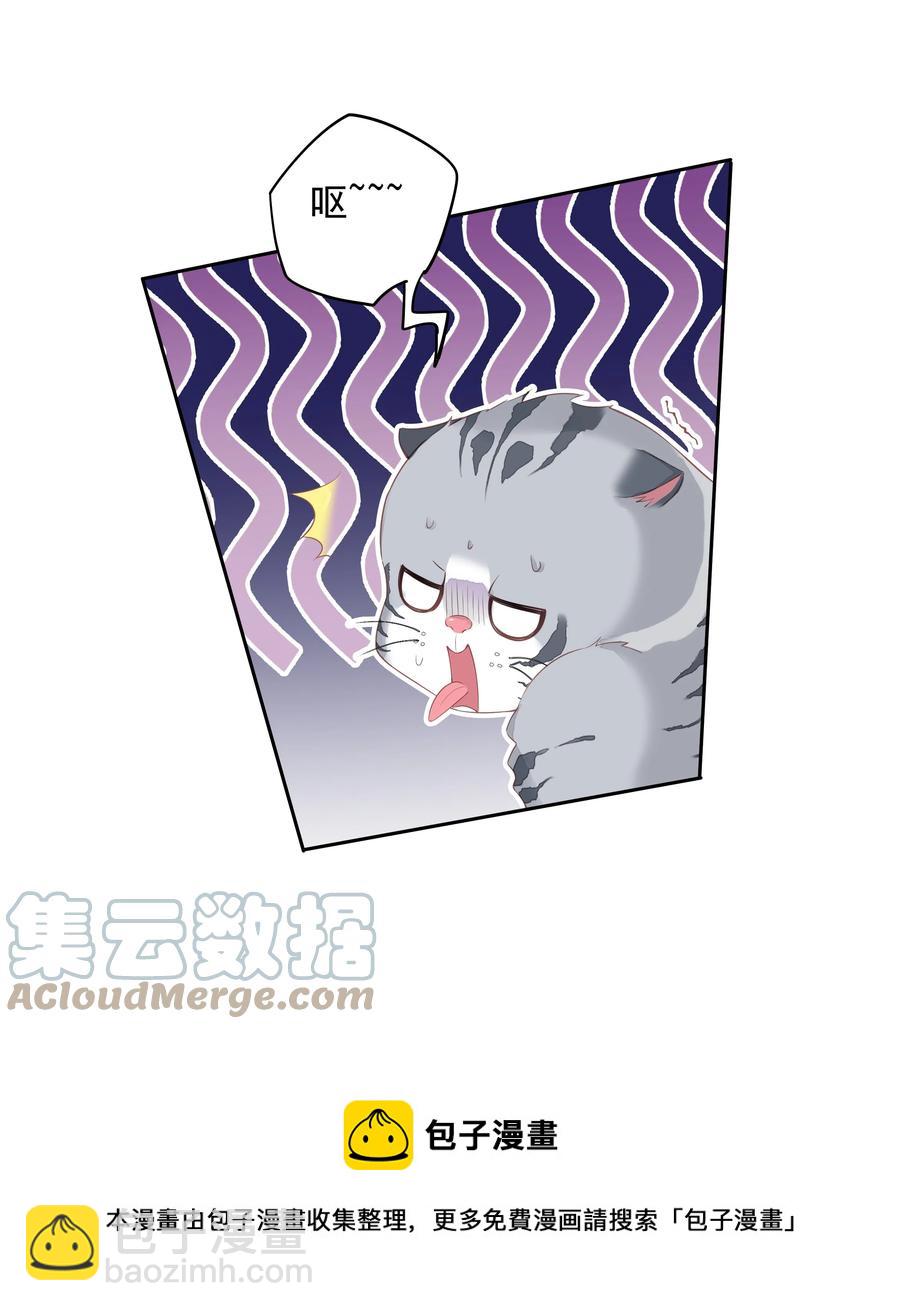 《早期驯服大猫的珍贵资料》023 对方带多少人？揣家伙不？ 第17页