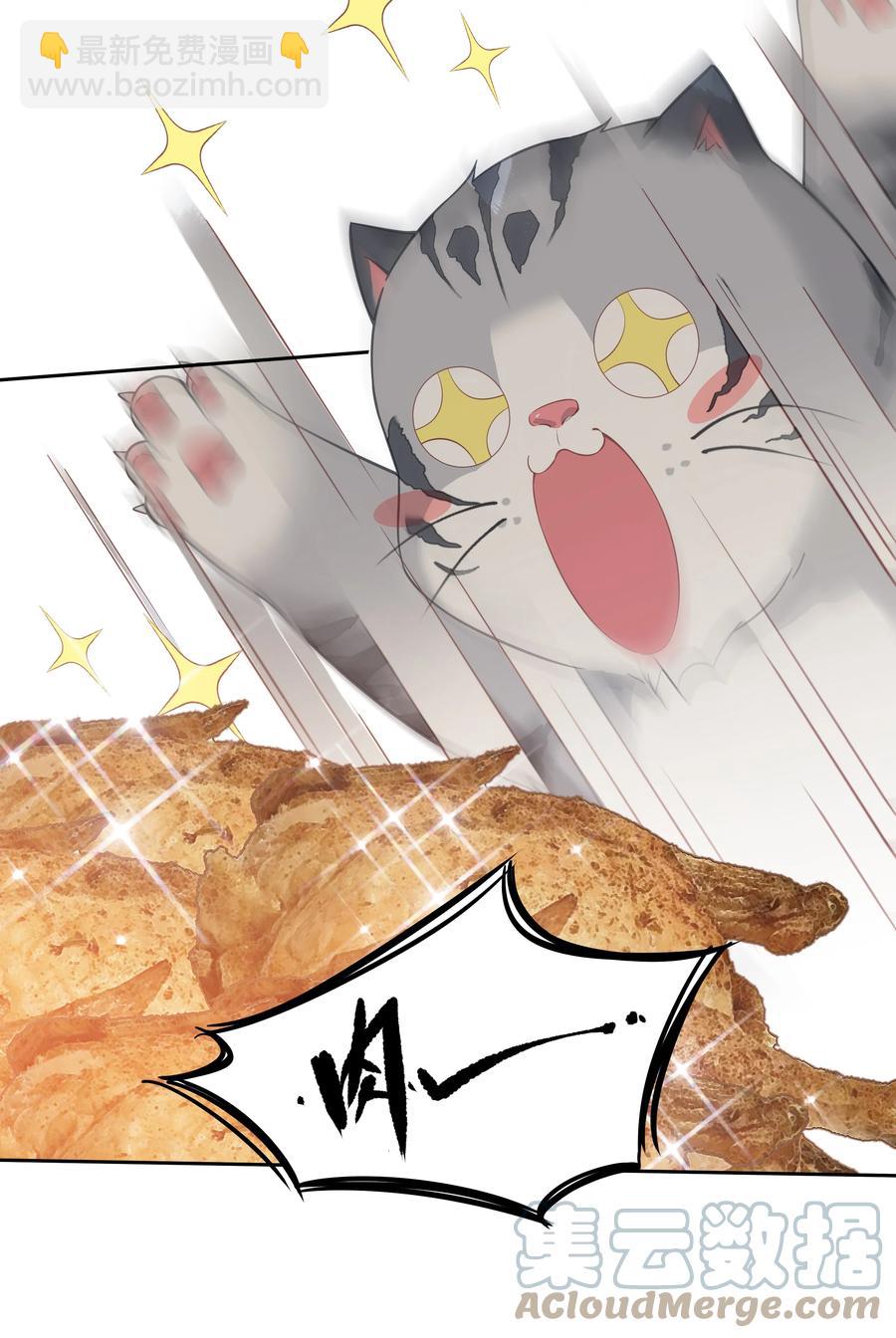 《早期驯服大猫的珍贵资料》023 对方带多少人？揣家伙不？ 第19页