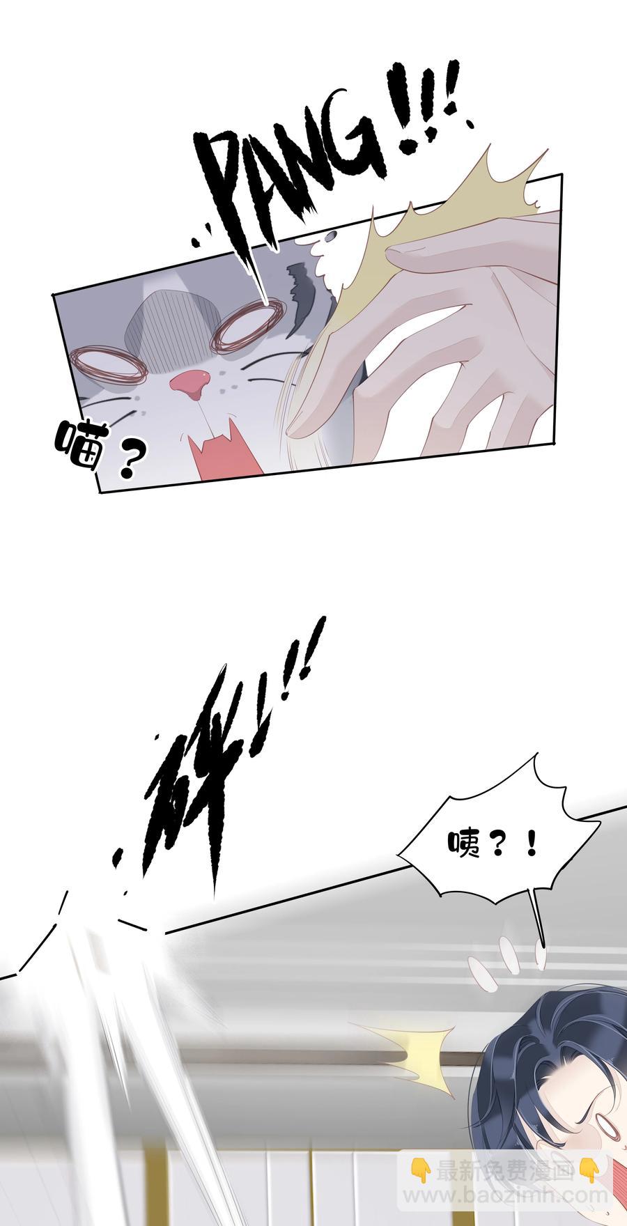 《早期驯服大猫的珍贵资料》023 对方带多少人？揣家伙不？ 第20页