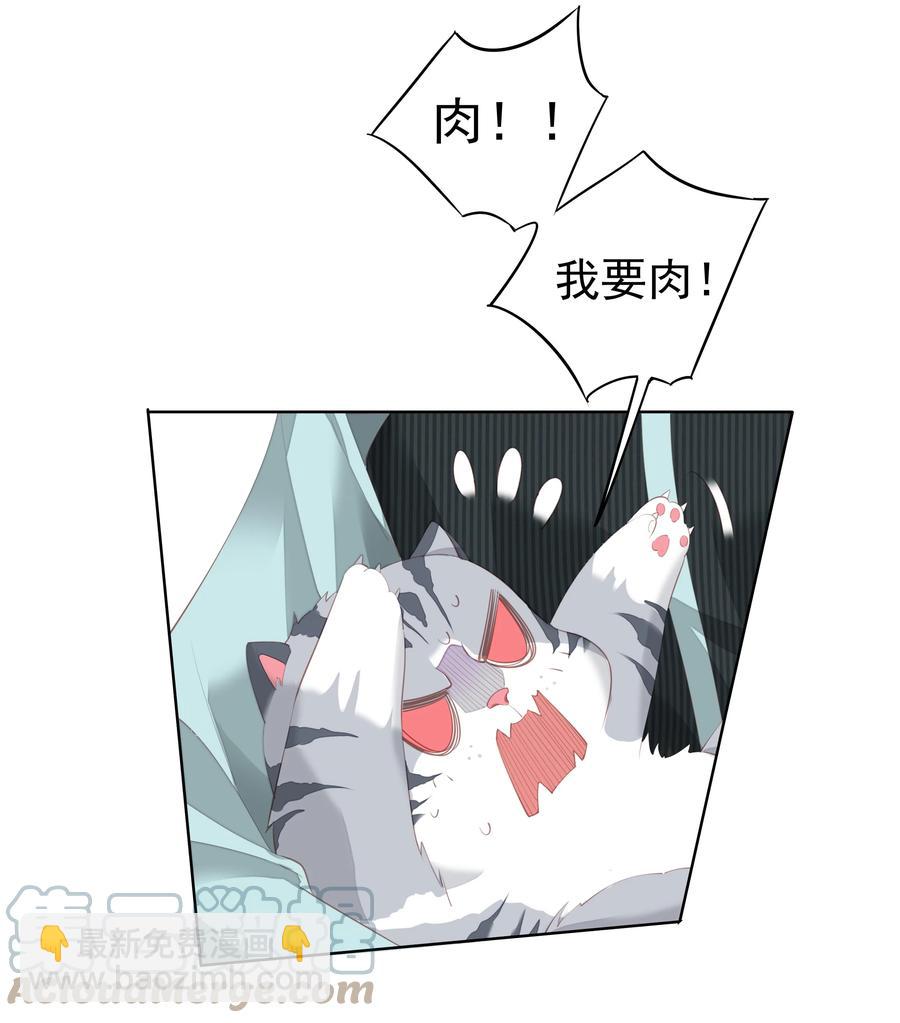 《早期驯服大猫的珍贵资料》023 对方带多少人？揣家伙不？ 第23页