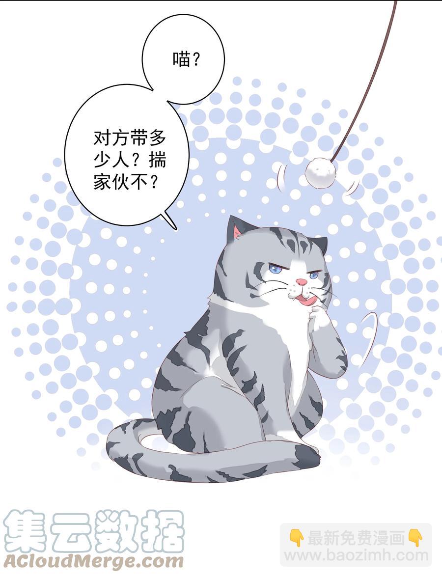 《早期驯服大猫的珍贵资料》023 对方带多少人？揣家伙不？ 第39页