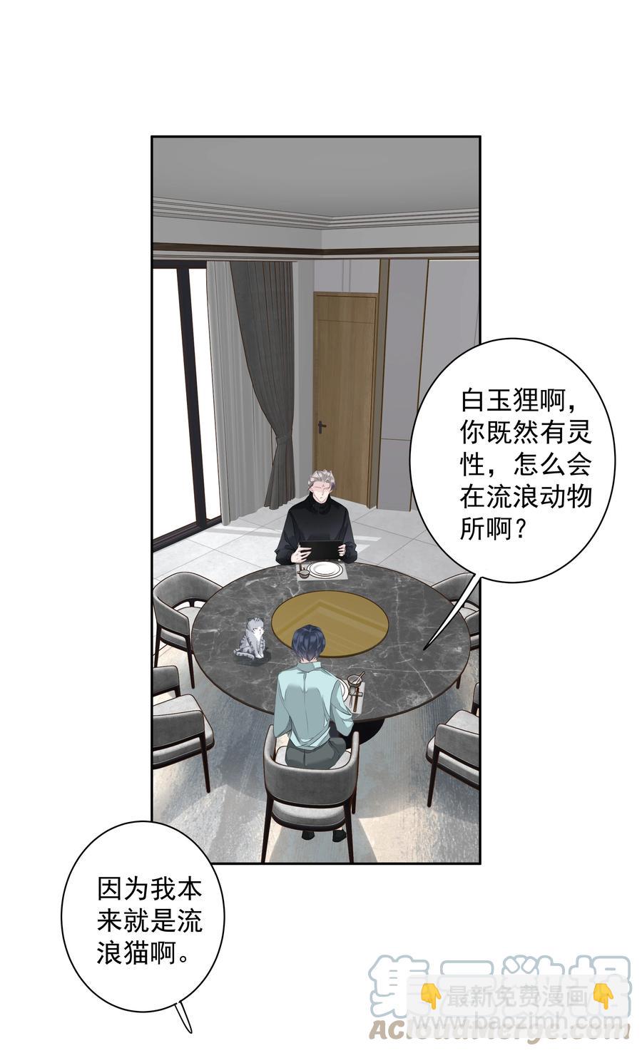 《早期驯服大猫的珍贵资料》023 对方带多少人？揣家伙不？ 第3页