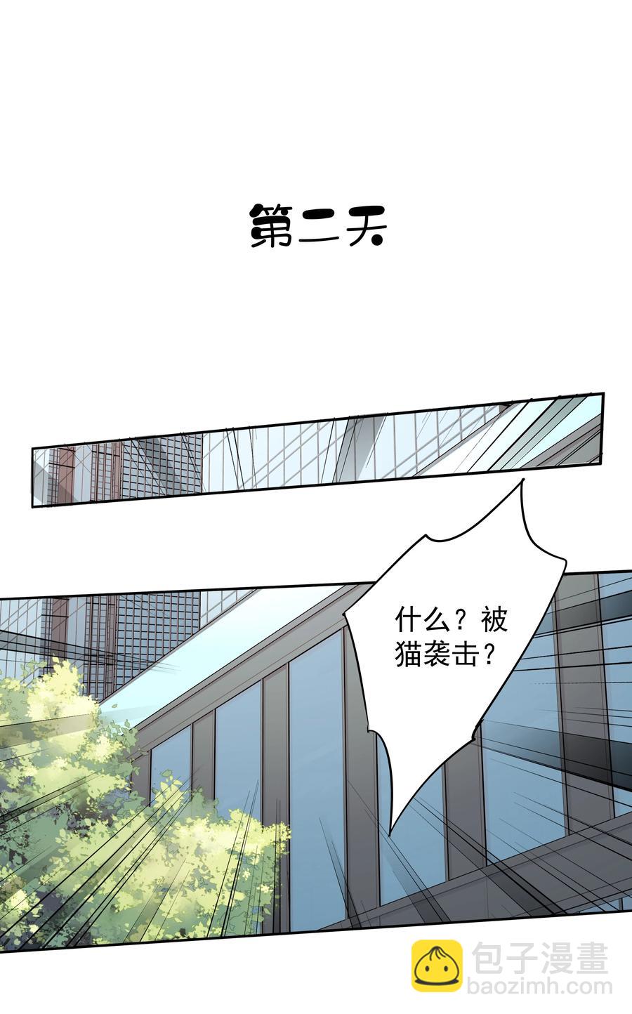 《早期驯服大猫的珍贵资料》023 对方带多少人？揣家伙不？ 第40页