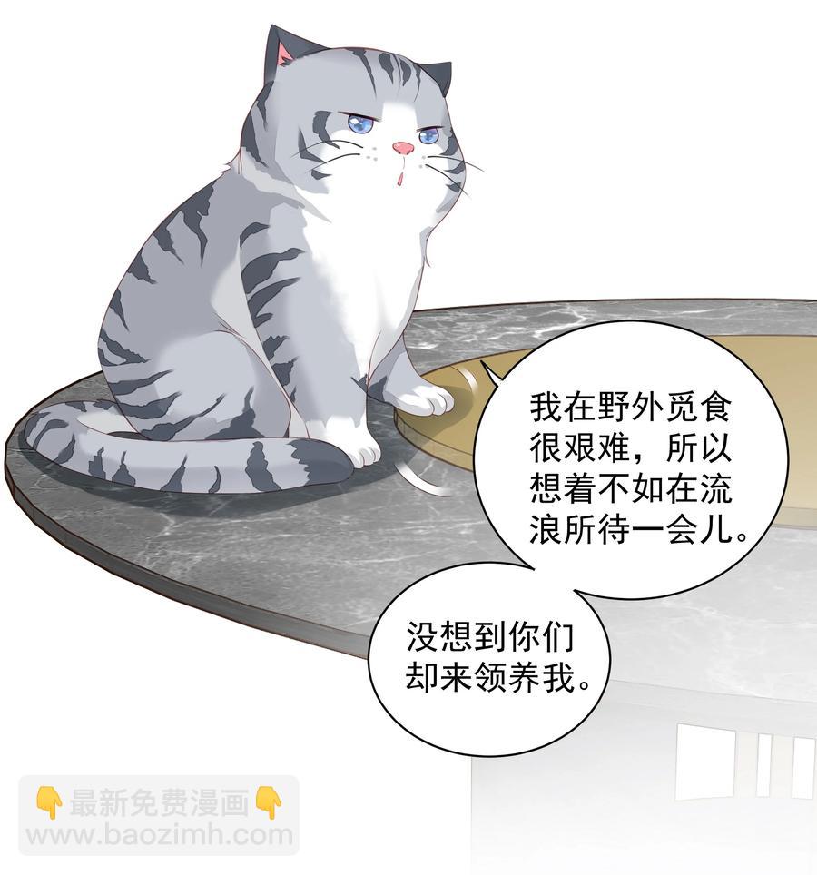 《早期驯服大猫的珍贵资料》023 对方带多少人？揣家伙不？ 第4页