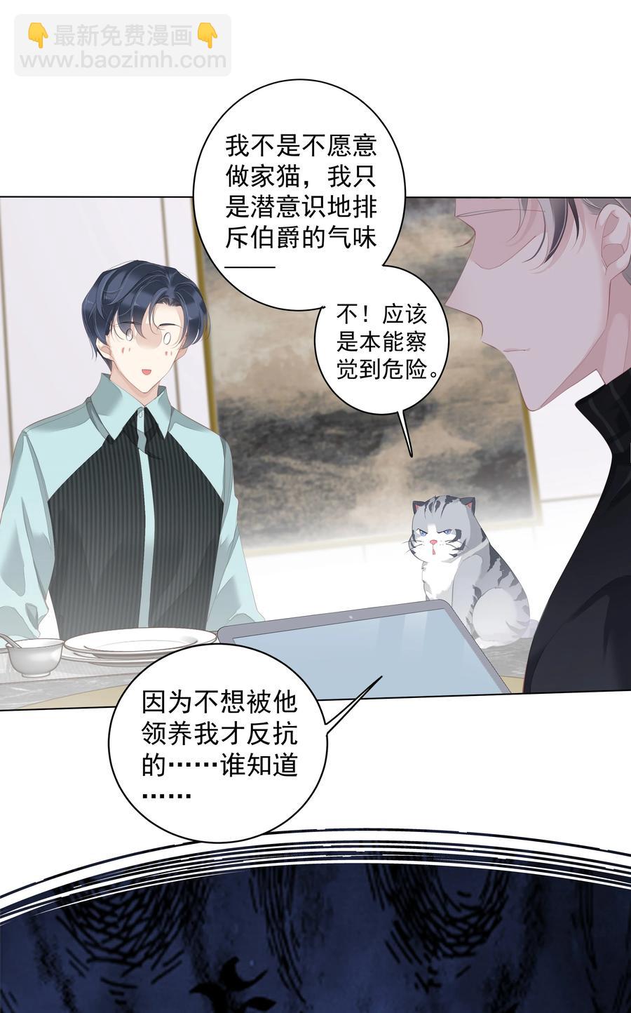 《早期驯服大猫的珍贵资料》023 对方带多少人？揣家伙不？ 第6页