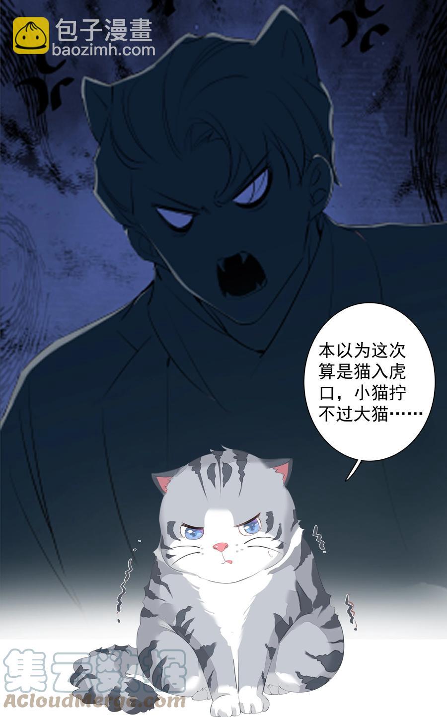 《早期驯服大猫的珍贵资料》023 对方带多少人？揣家伙不？ 第7页