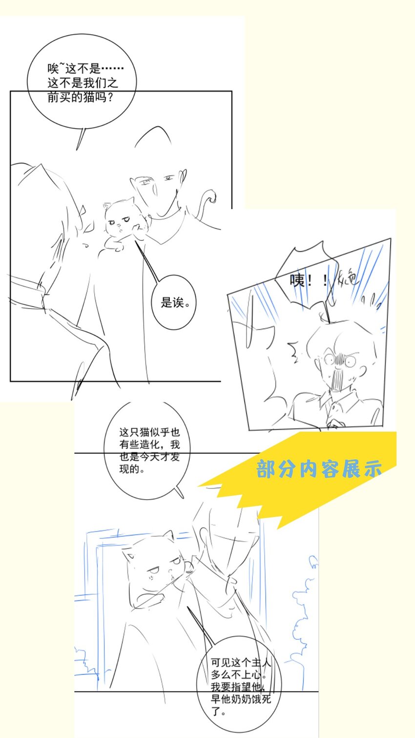 《早期驯服大猫的珍贵资料》021 我们是合法的 第43页
