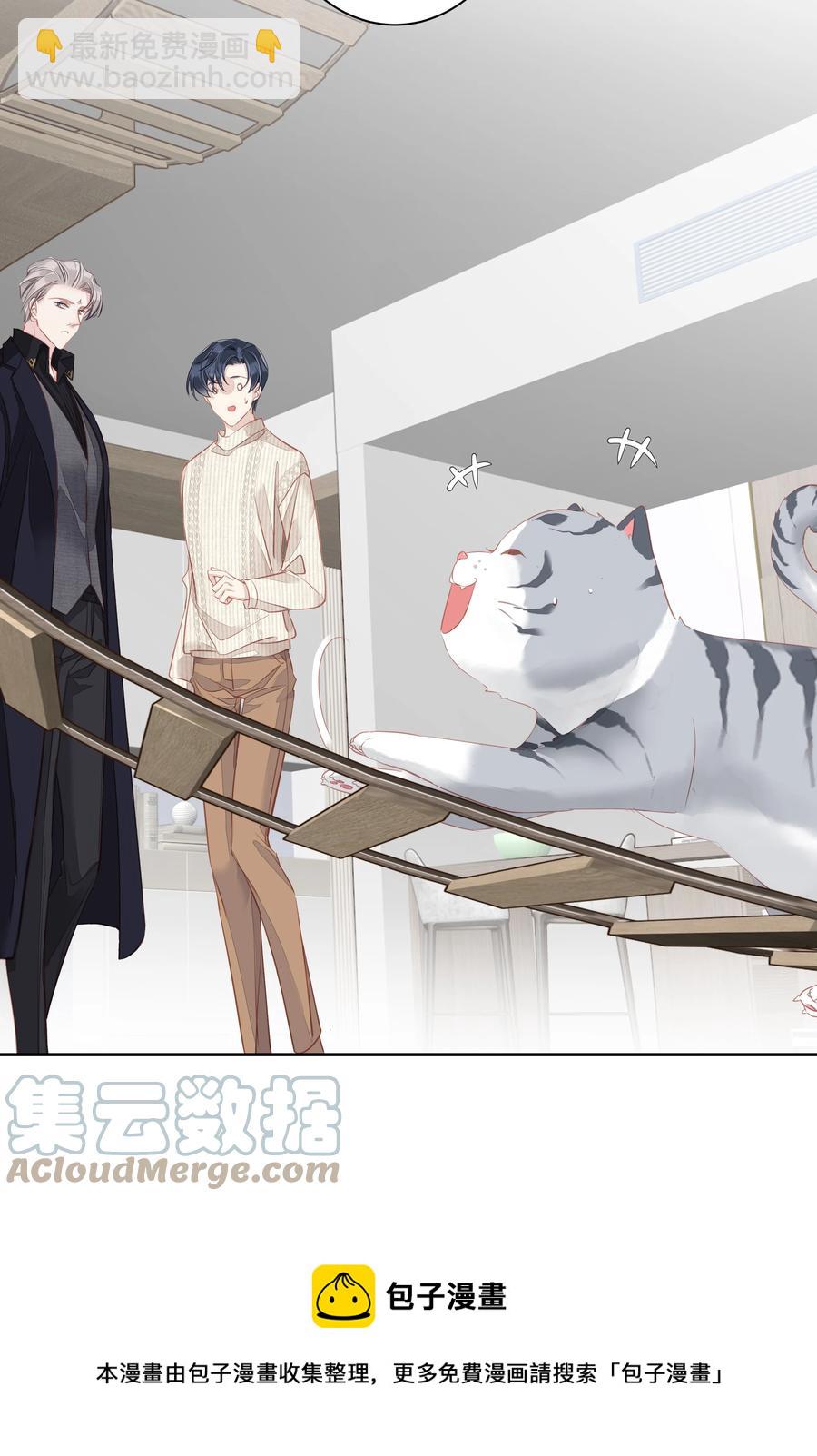 《早期驯服大猫的珍贵资料》025 这他喵的豪宅啊！ 第25页