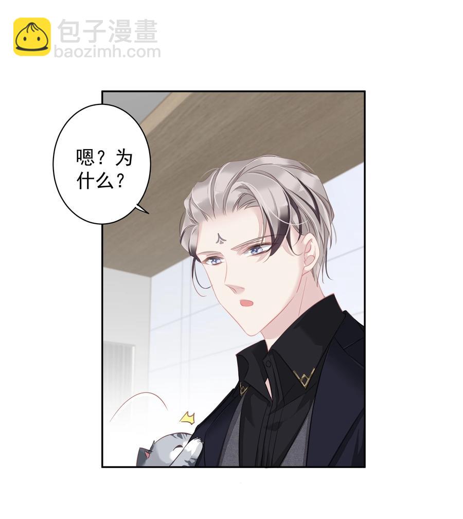 《早期驯服大猫的珍贵资料》025 这他喵的豪宅啊！ 第26页