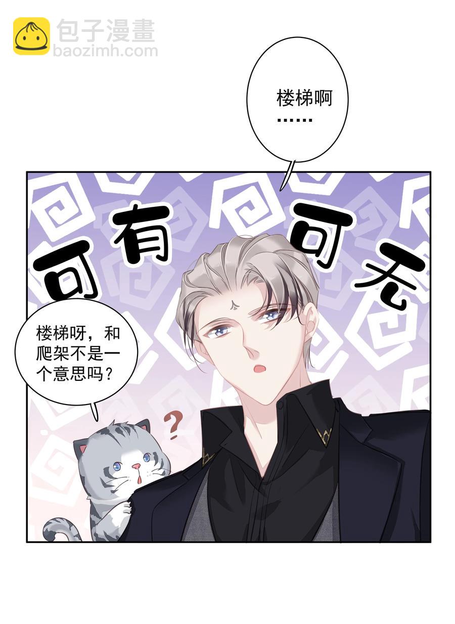 《早期驯服大猫的珍贵资料》025 这他喵的豪宅啊！ 第28页