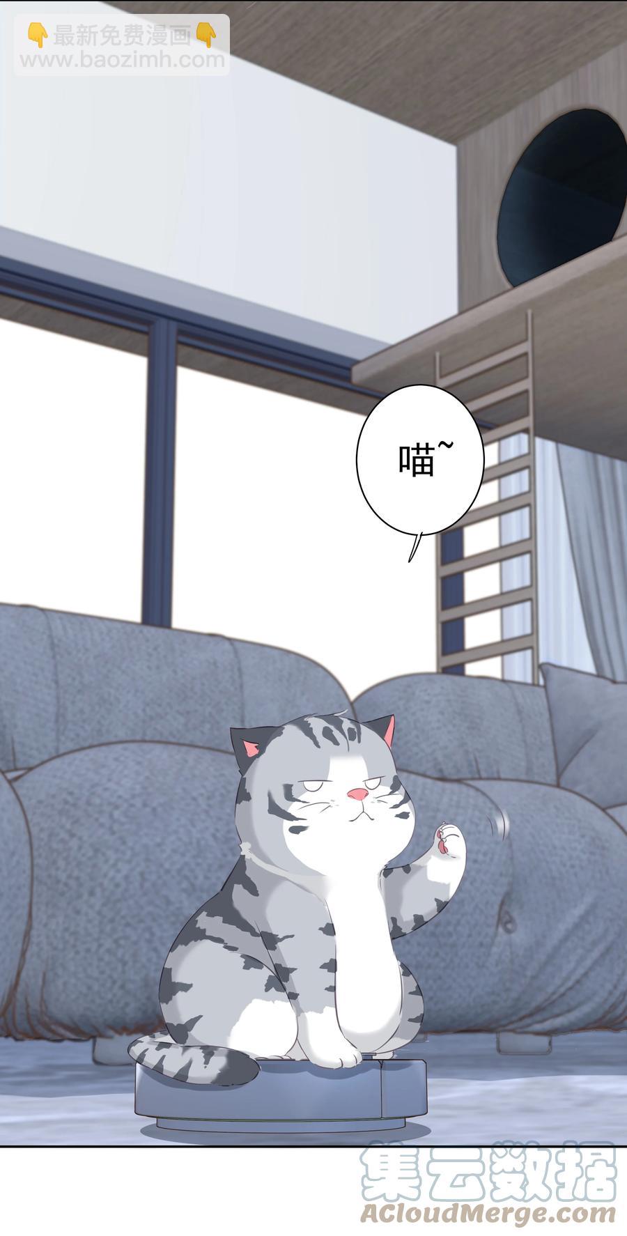 《早期驯服大猫的珍贵资料》032 咬、咬上了！ 第31页