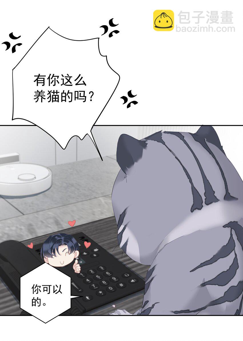《早期驯服大猫的珍贵资料》034 手机叼嘴巴里吗？ 第24页