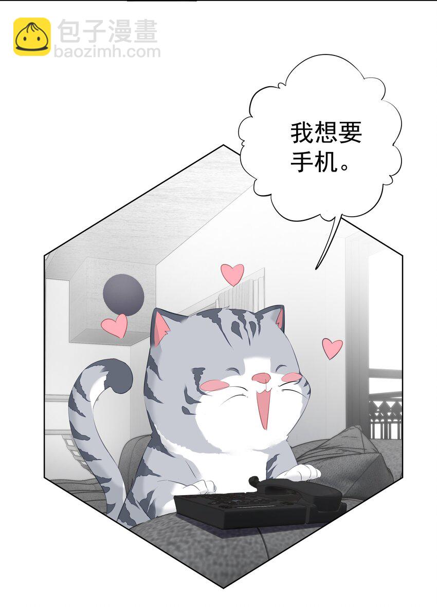 《早期驯服大猫的珍贵资料》034 手机叼嘴巴里吗？ 第30页