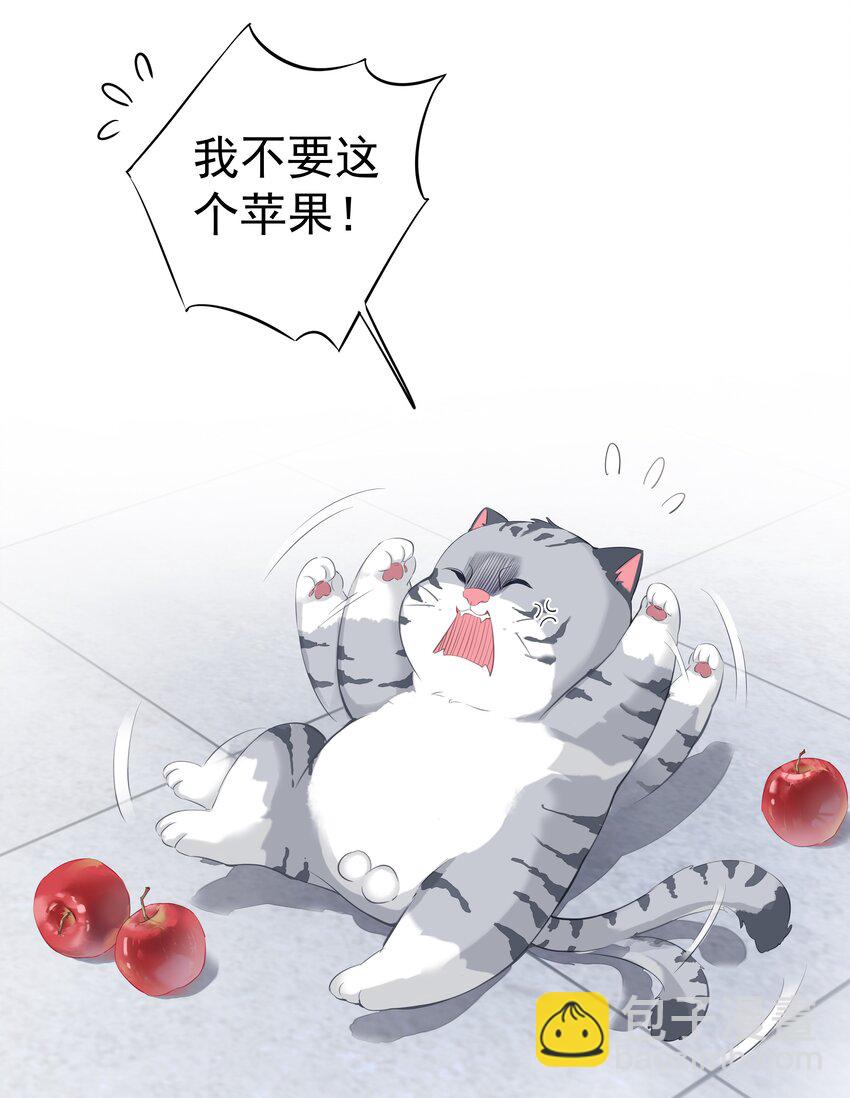 《早期驯服大猫的珍贵资料》034 手机叼嘴巴里吗？ 第38页