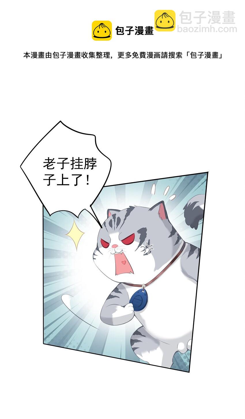《早期驯服大猫的珍贵资料》034 手机叼嘴巴里吗？ 第41页