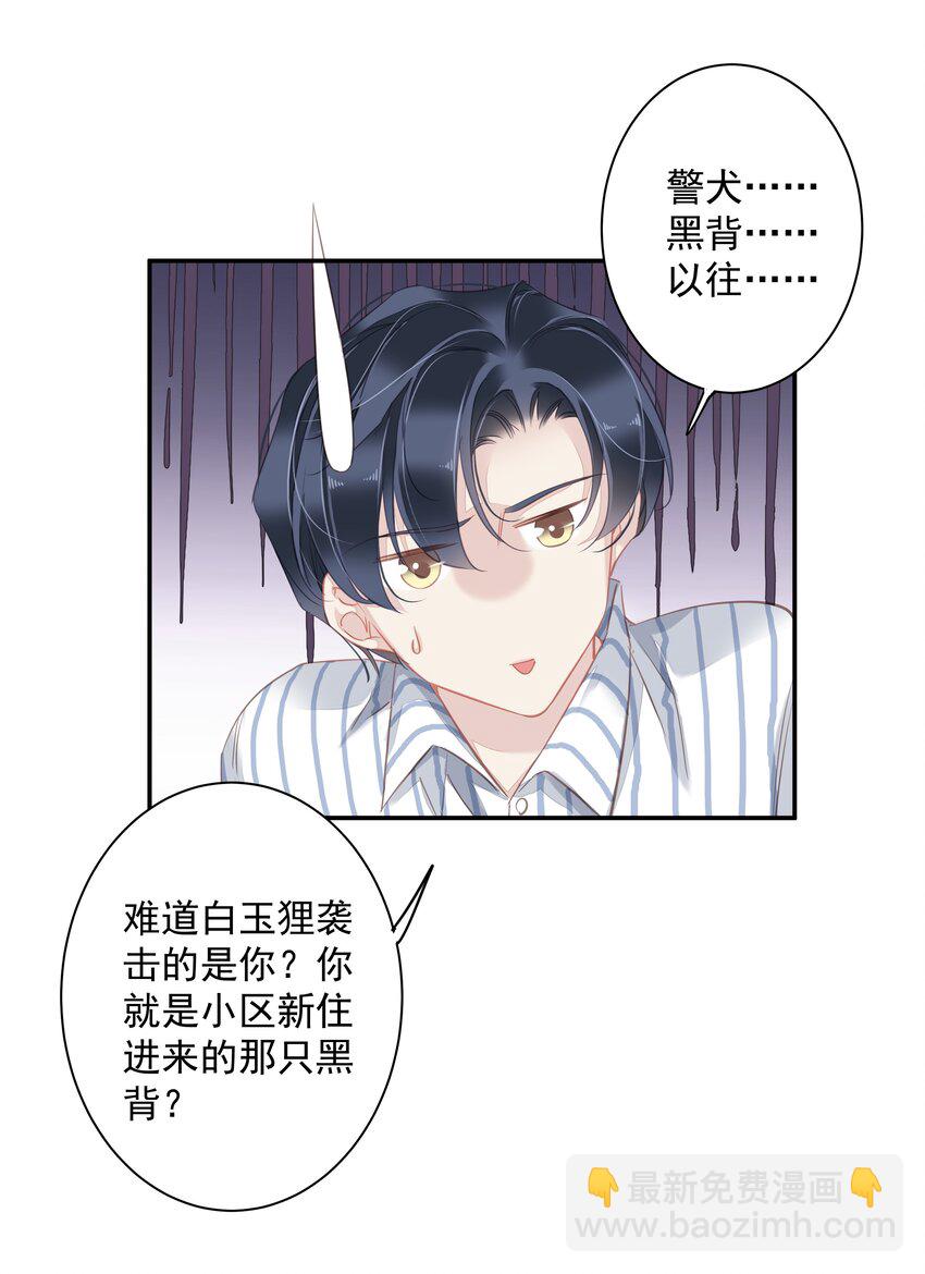 《早期驯服大猫的珍贵资料》036 黑背出场！ 第47页