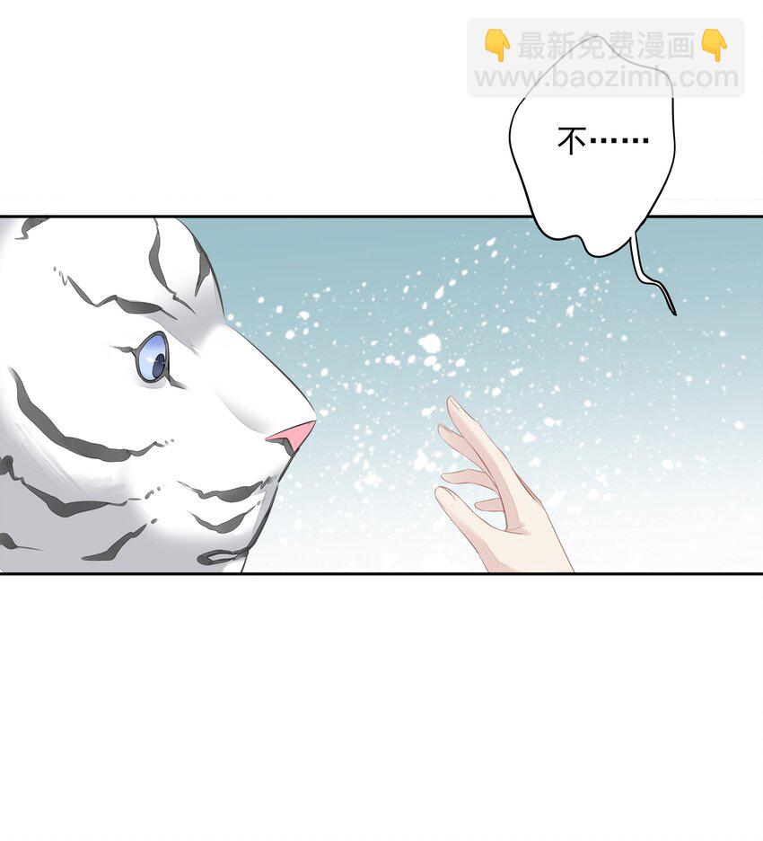 《早期驯服大猫的珍贵资料》035 rua老虎毛的手感 第14页