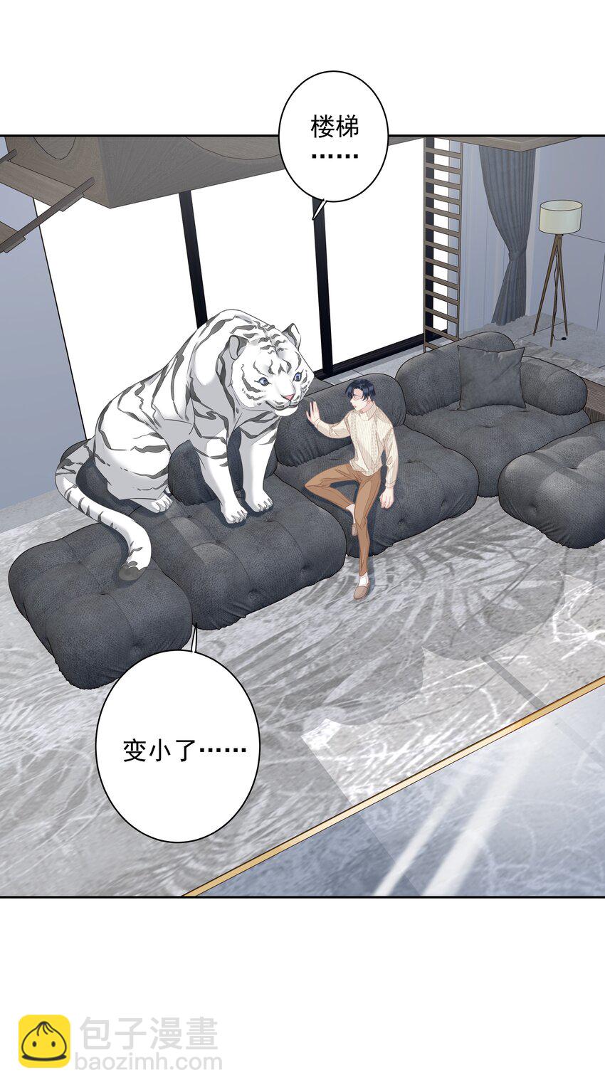 《早期驯服大猫的珍贵资料》035 rua老虎毛的手感 第16页