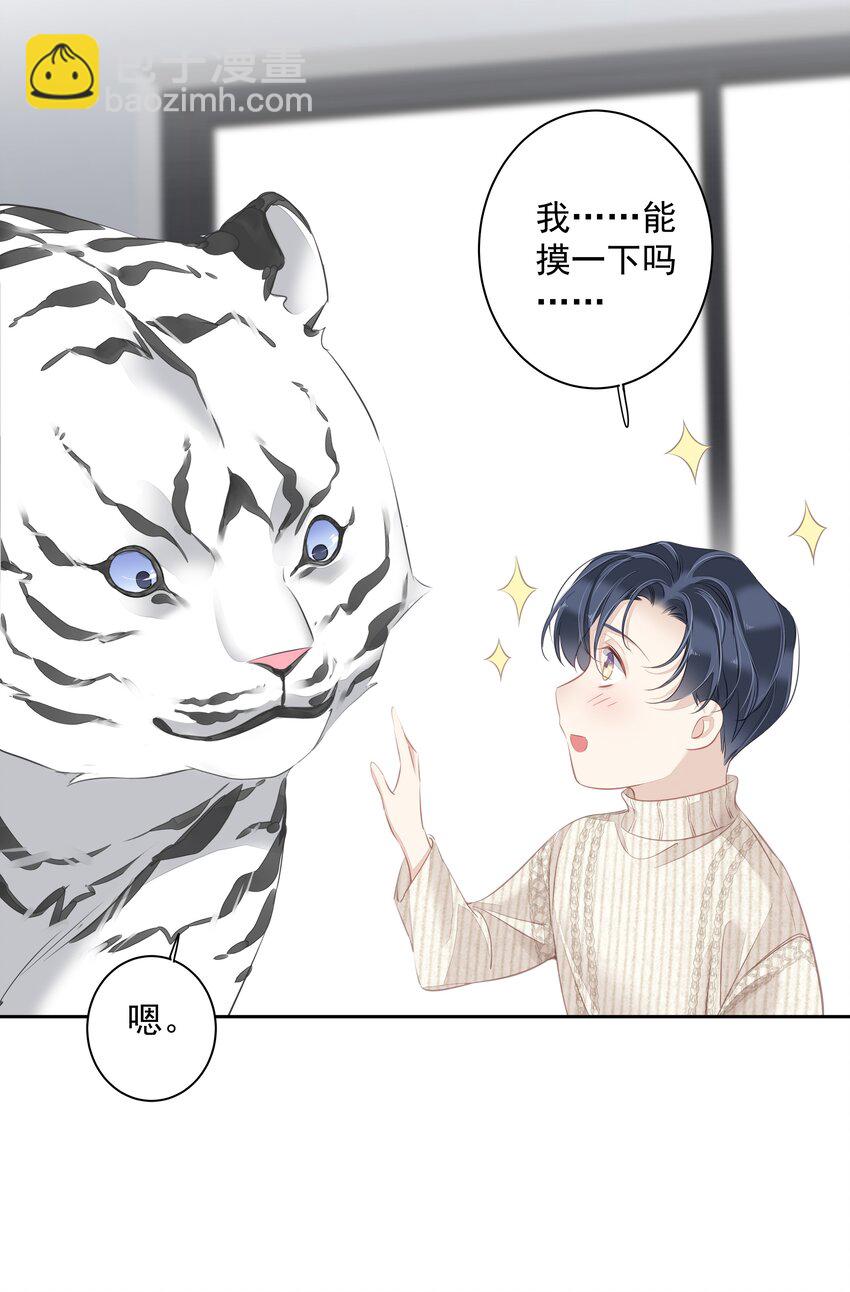 《早期驯服大猫的珍贵资料》035 rua老虎毛的手感 第18页
