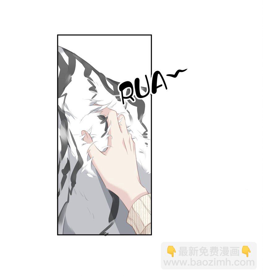 《早期驯服大猫的珍贵资料》035 rua老虎毛的手感 第20页