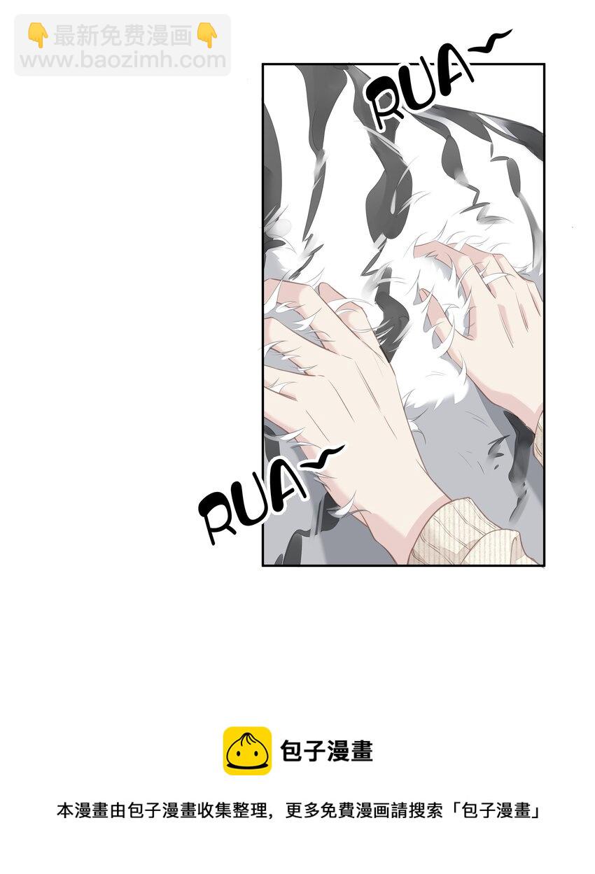 《早期驯服大猫的珍贵资料》035 rua老虎毛的手感 第21页