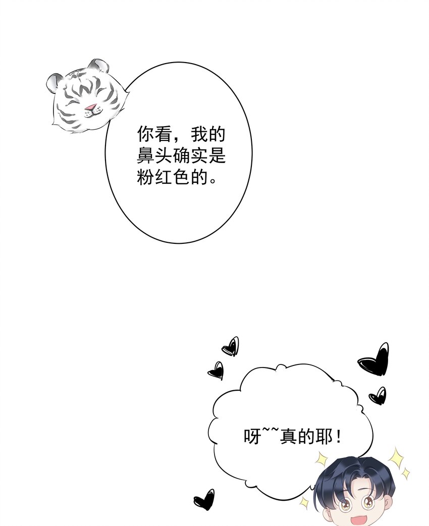 《早期驯服大猫的珍贵资料》035 rua老虎毛的手感 第23页