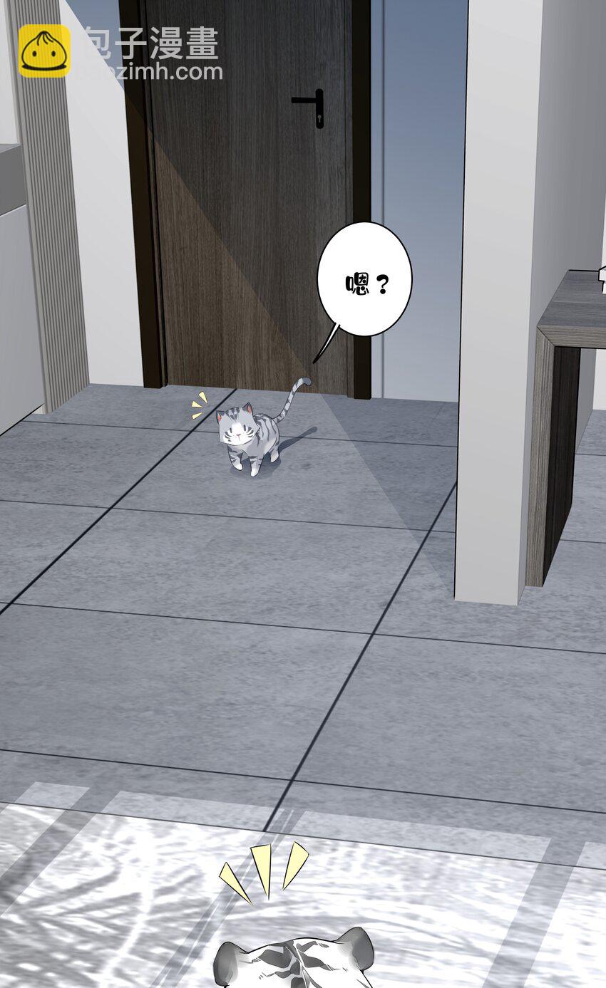 《早期驯服大猫的珍贵资料》035 rua老虎毛的手感 第26页