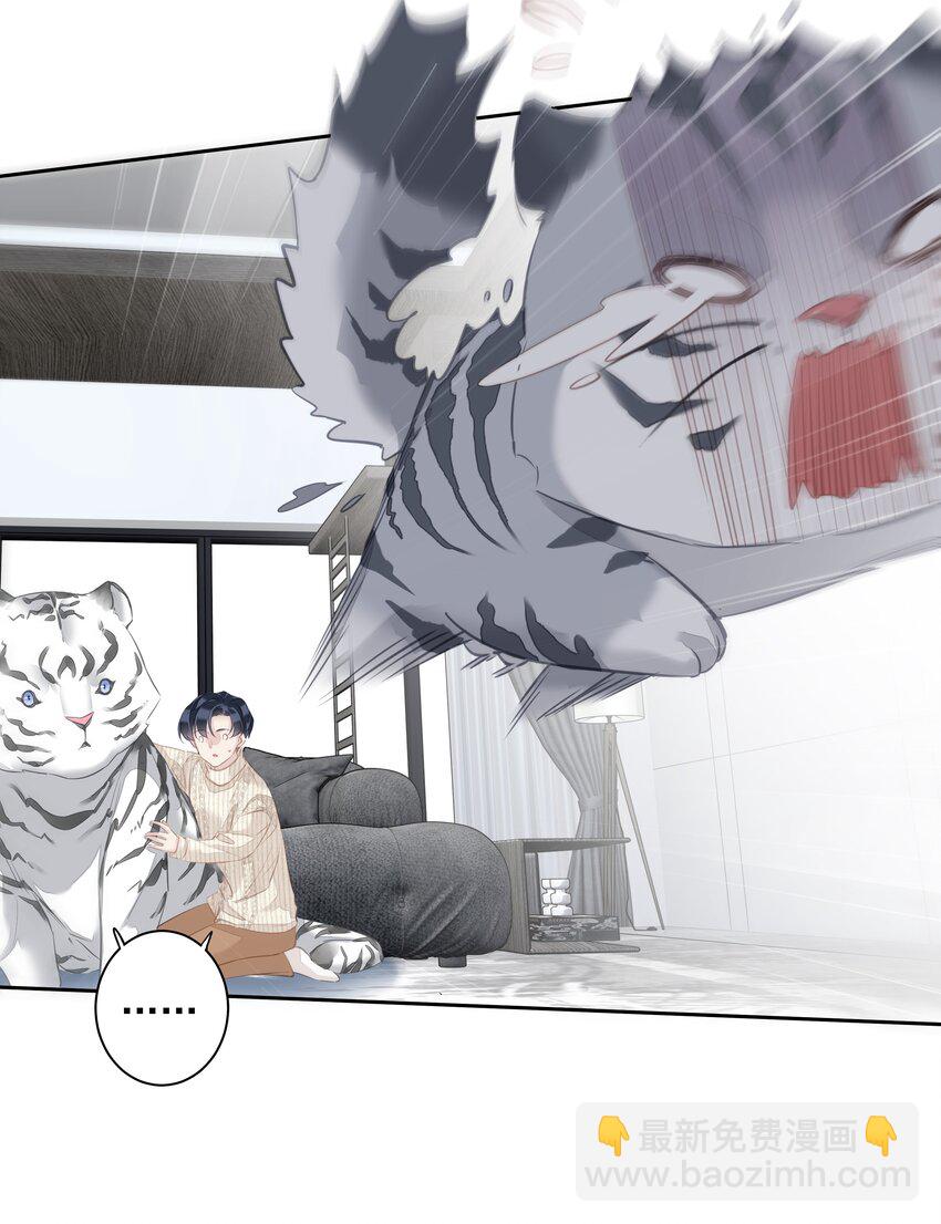 《早期驯服大猫的珍贵资料》035 rua老虎毛的手感 第28页