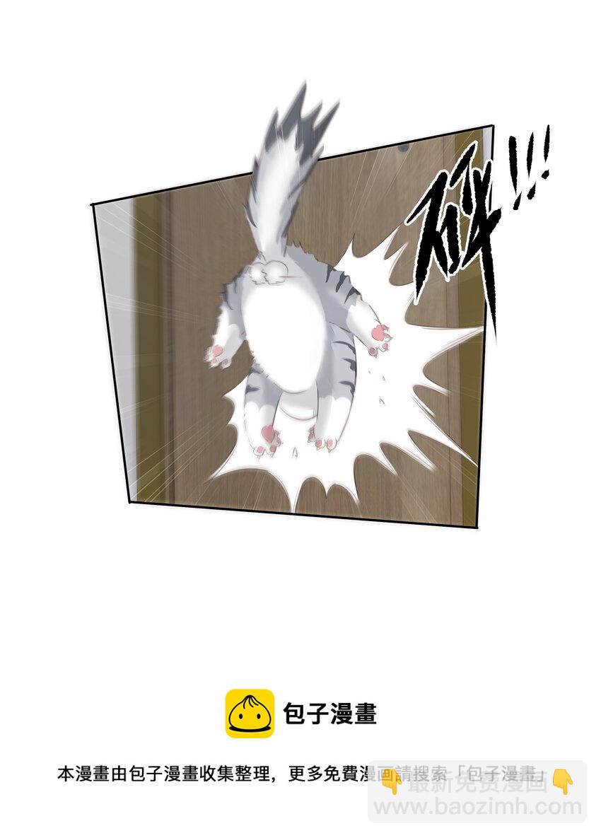 《早期驯服大猫的珍贵资料》035 rua老虎毛的手感 第29页