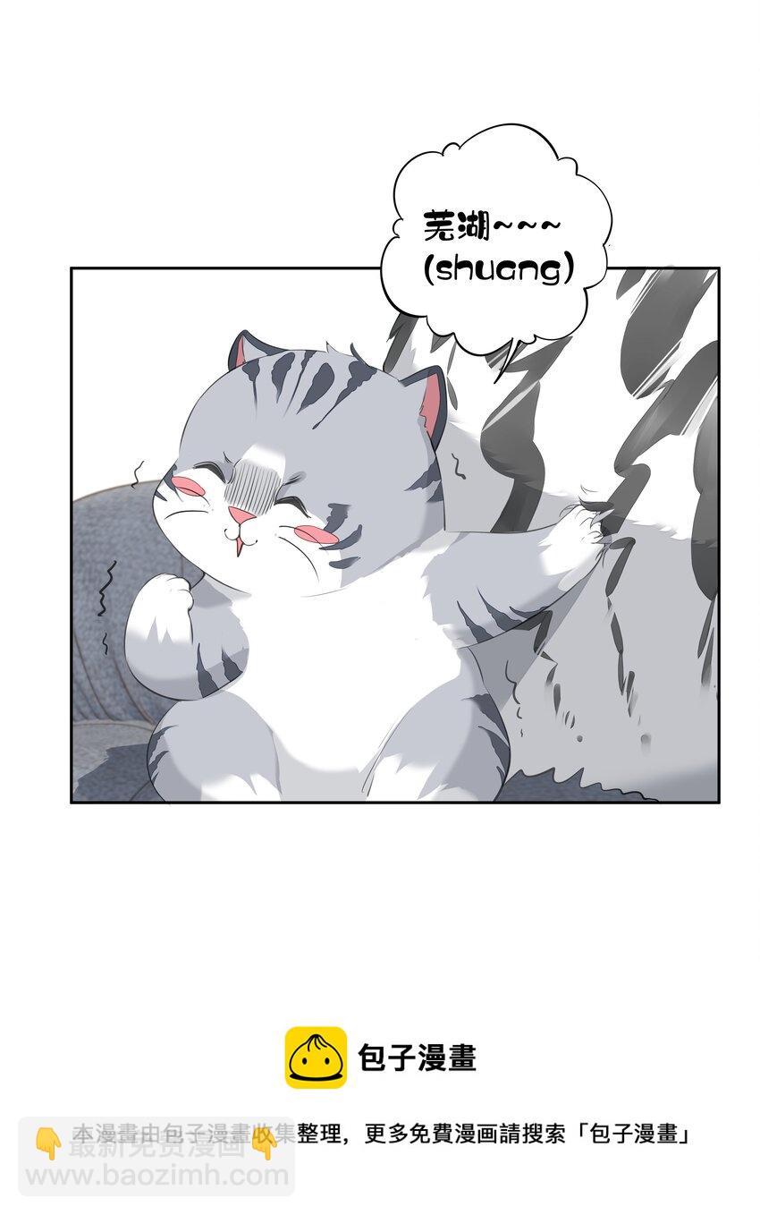 《早期驯服大猫的珍贵资料》035 rua老虎毛的手感 第33页