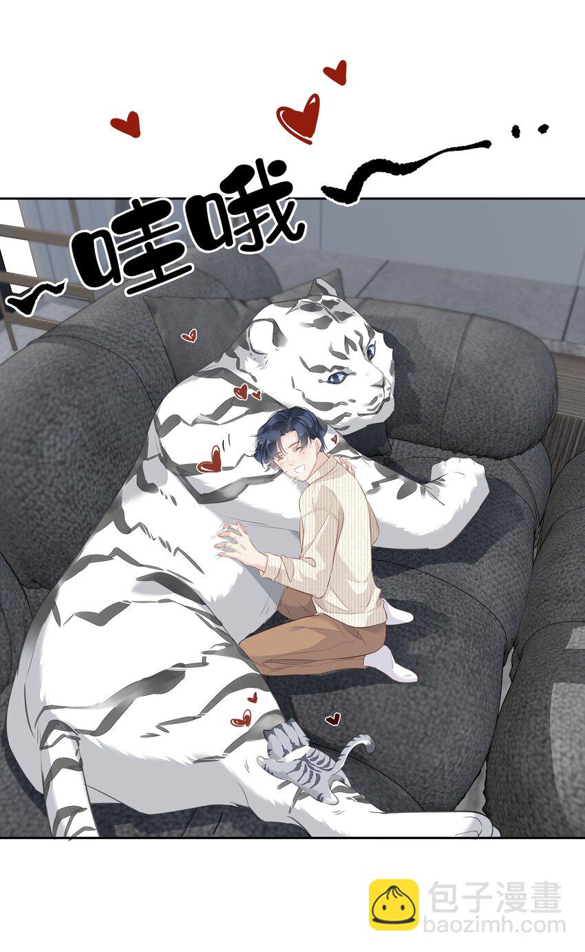 《早期驯服大猫的珍贵资料》035 rua老虎毛的手感 第34页