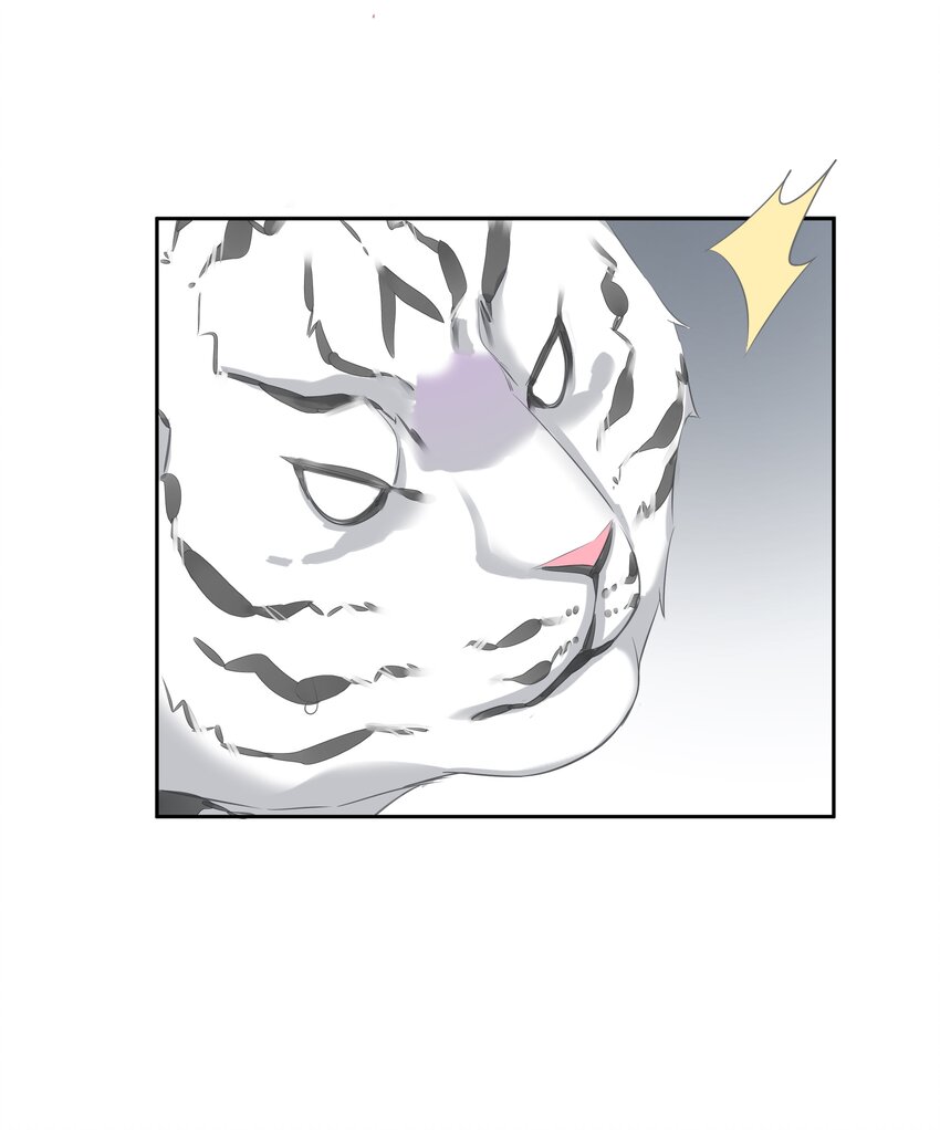 《早期驯服大猫的珍贵资料》035 rua老虎毛的手感 第36页