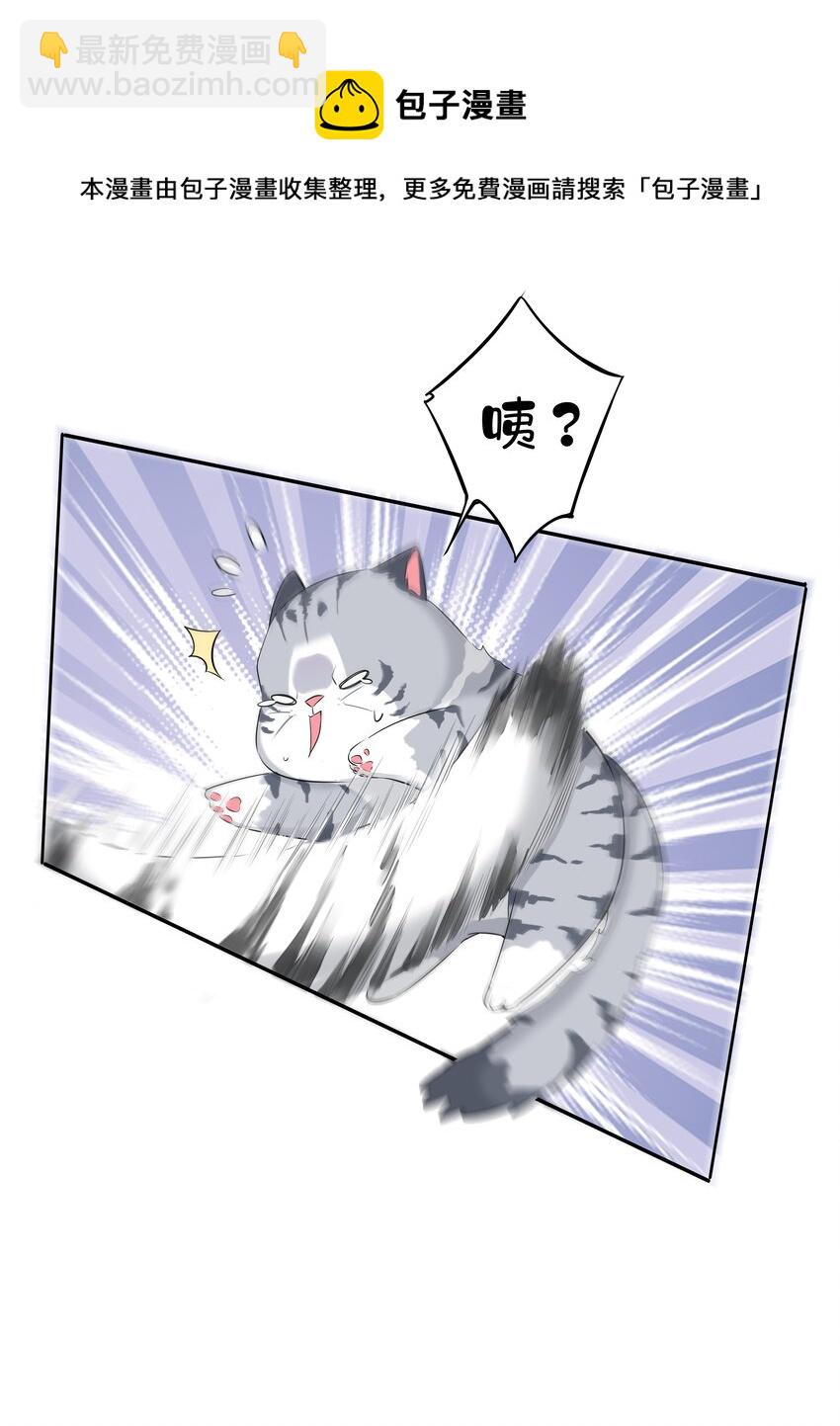 《早期驯服大猫的珍贵资料》035 rua老虎毛的手感 第37页